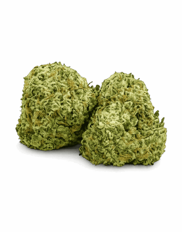 Lemon Tree