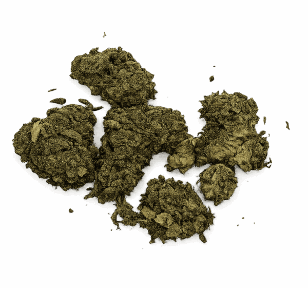 Papaya Mochie – Cali Flower