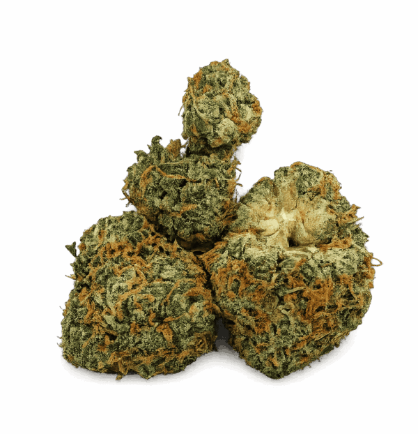 Rainbow Haze