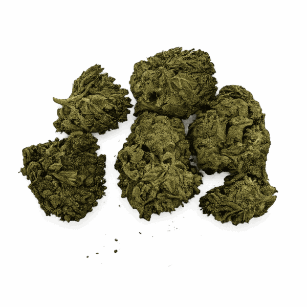 Smartie Z – Cali Flower