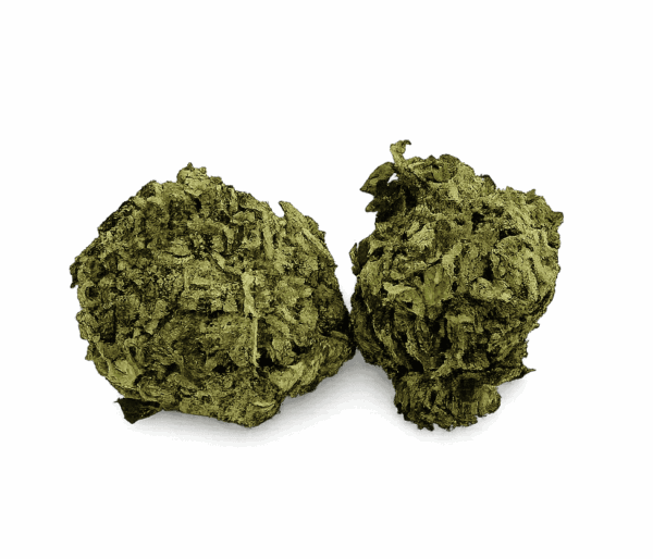 Sunset Sherbet