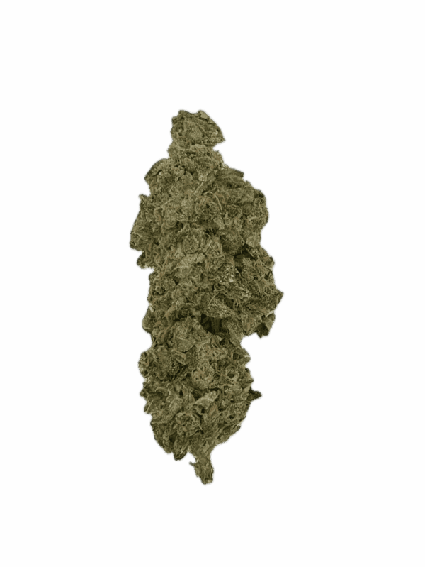 Kosher Kush